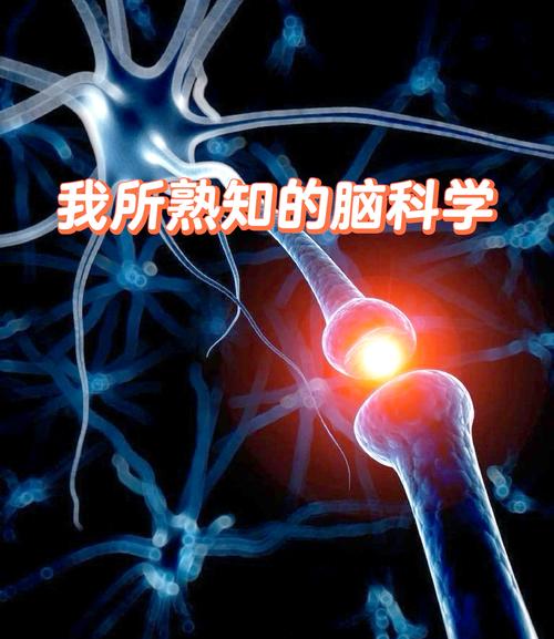 神经形态处理器的类脑学习