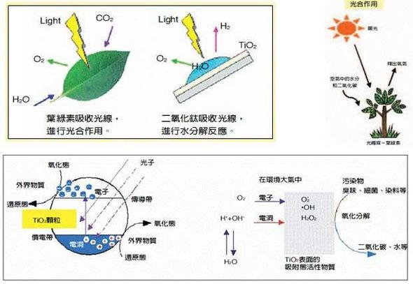 自清洁光伏玻璃技术：光催化 TiO₂与超疏水表面的协同效应