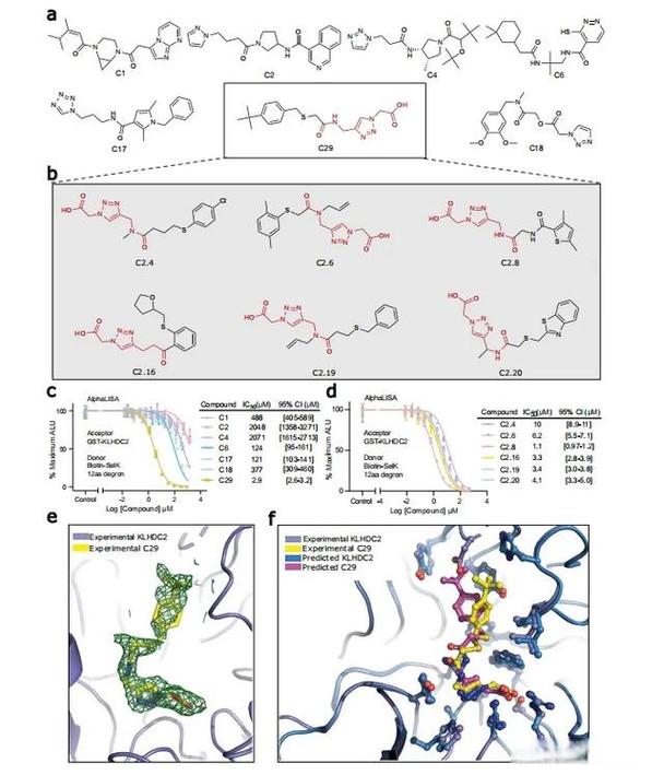 AI制药新范式：从虚拟筛选到临床转化的路径