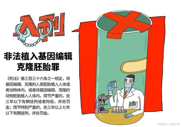 基因编辑动物伦理：争议探讨