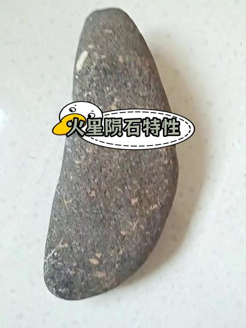 火星陨石中的有机化合物分析