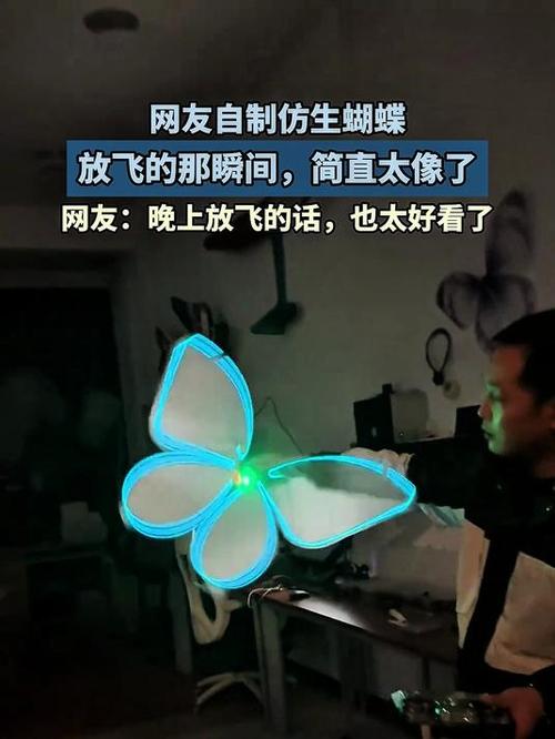 仿生蝴蝶飞行器：微小空间的探索者