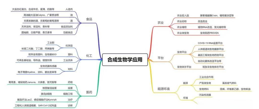 合成生物学：设计创造全新生命形式