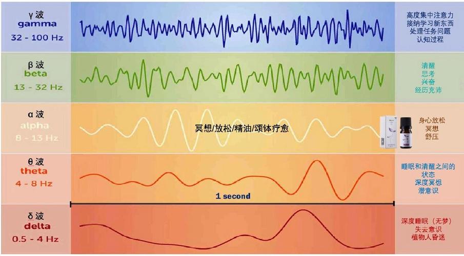 脑电波梦境记录：解密大脑的奇幻世界
