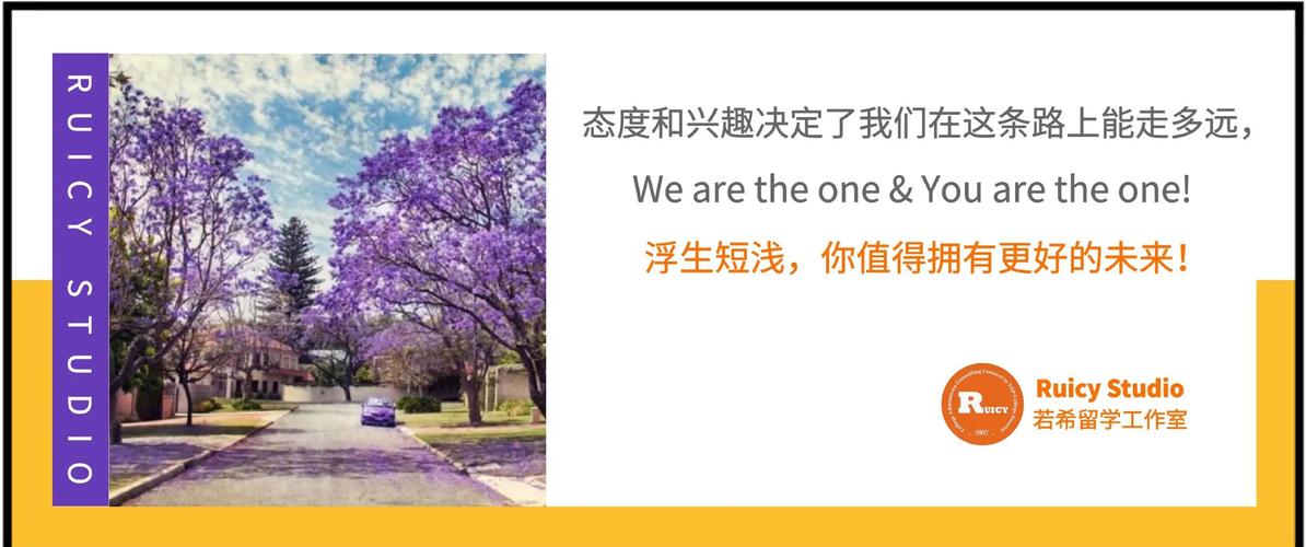 数字永生：意识上传技术的哲学悖论