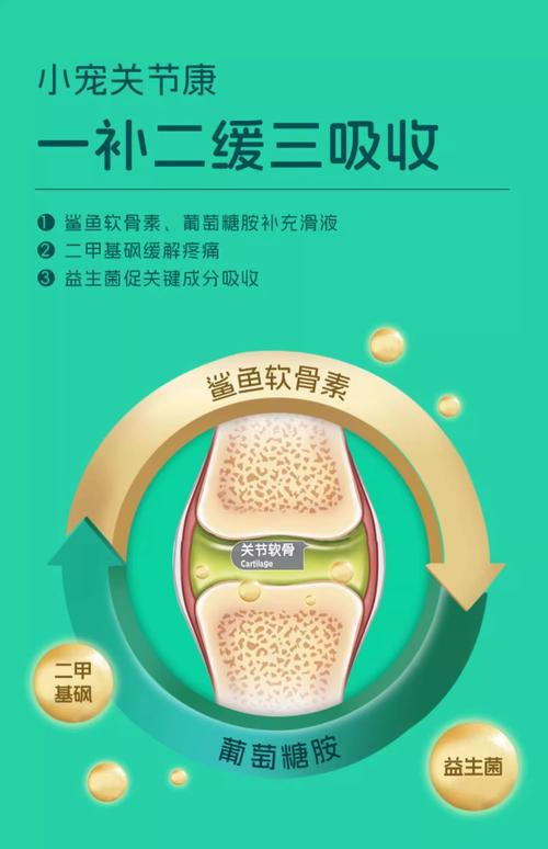 生物打印软骨：治疗关节疾病新希望