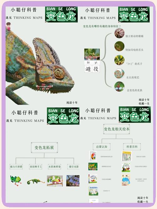 仿生变色龙材料：智能伪装技术突破