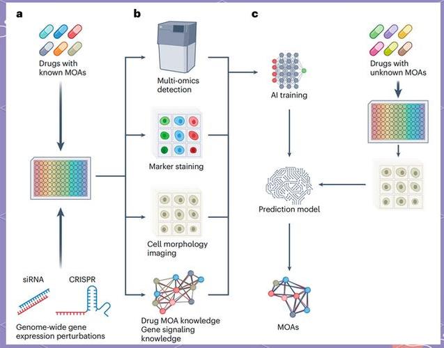 AI 辅助药物研发：从靶点发现到临床试验的全流程应用