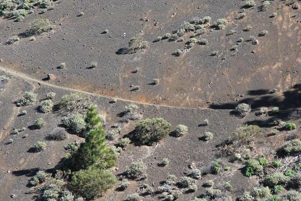 火星土壤研究：能否用于植物种植？