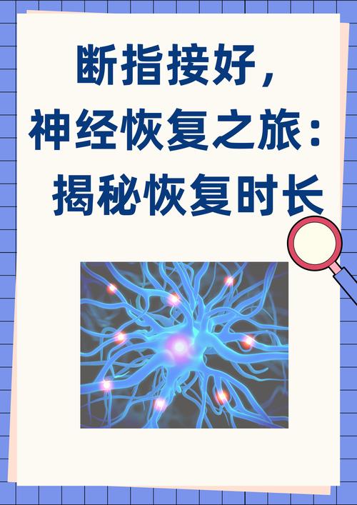 纳米机器人修复神经:治疗神经系统疾病新途径
