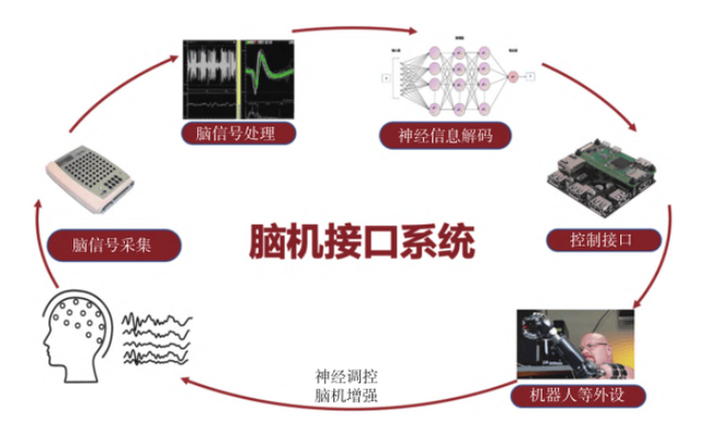 脑机接口增强记忆:人类认知的边界