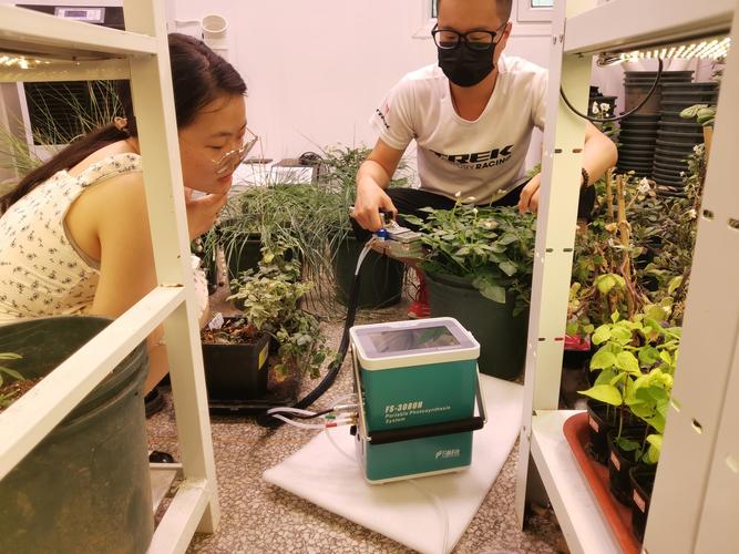 人工光合作用建材市场拓展:更多领域应用