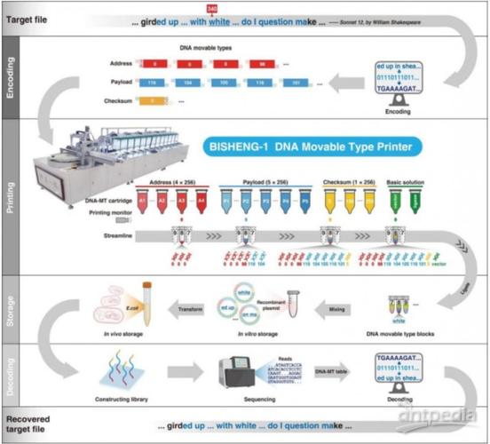 DNA数据存储技术的容量与持久性