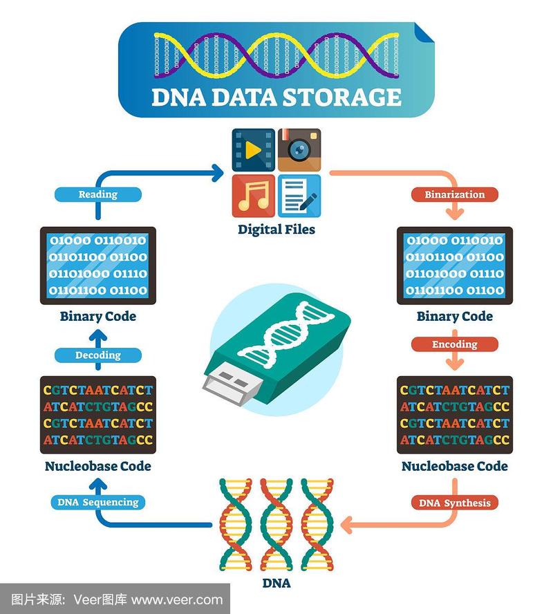 DNA存储系统的纠错编码新方法
