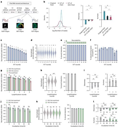 DNA数据存储的长期稳定性