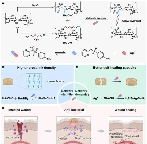 智能水凝胶药物释放研究：更精准治疗
