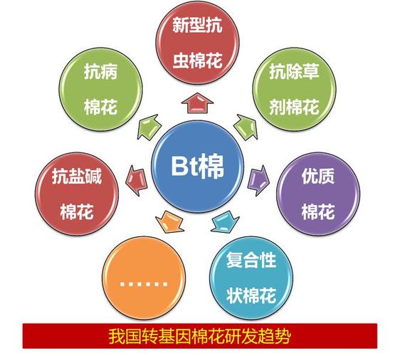 基因编辑培育抗虫棉花升级：减少农药依赖