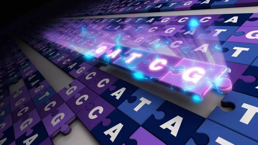 DNA存储技术信息密度新纪录