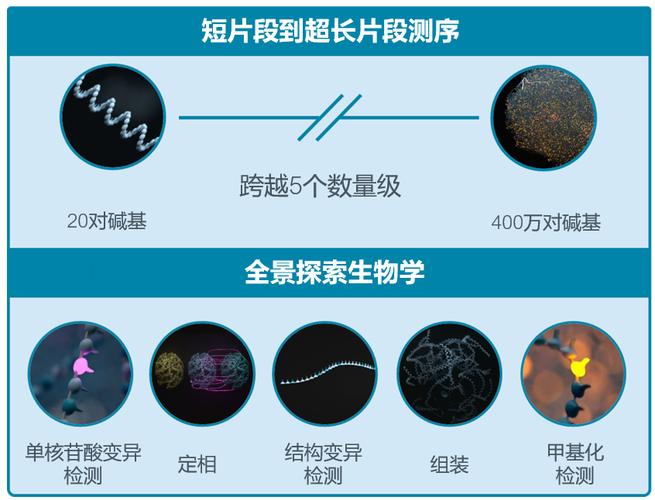 纳米孔基因测序通量提升：快速解读海量基因信息