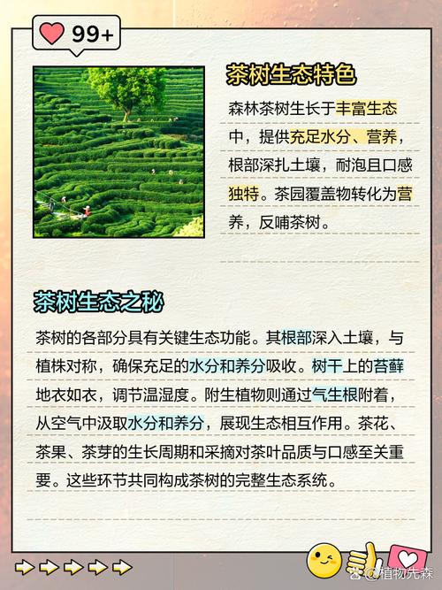 基因编辑培育抗虫茶树：保障茶叶品质