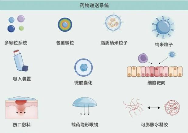 智能水凝胶药物递送创新：更精准释放