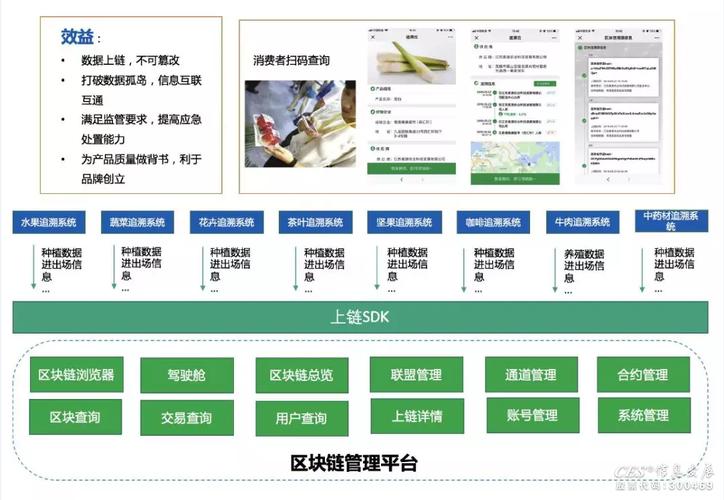 区块链溯源钻石供应链：确保来源合法