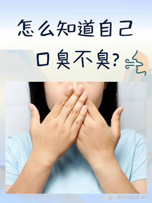 数字气味社交空间：用香味划分功能区域