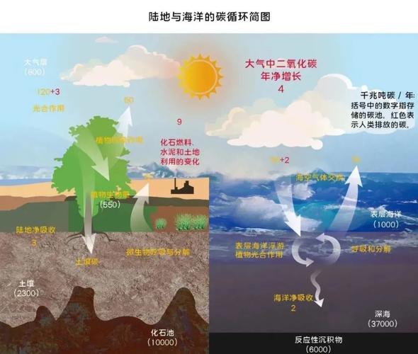 人工光合作用固碳:对抗全球变暖的利器