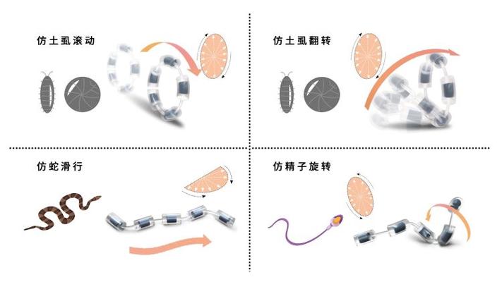 纳米机器人药物靶向运输路径优化：精准治疗