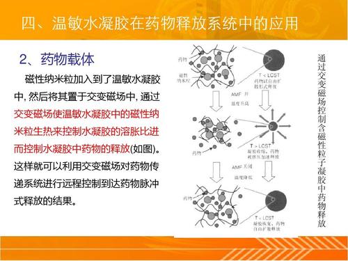 智能水凝胶药物释放精准度提高：更有效治疗的实现