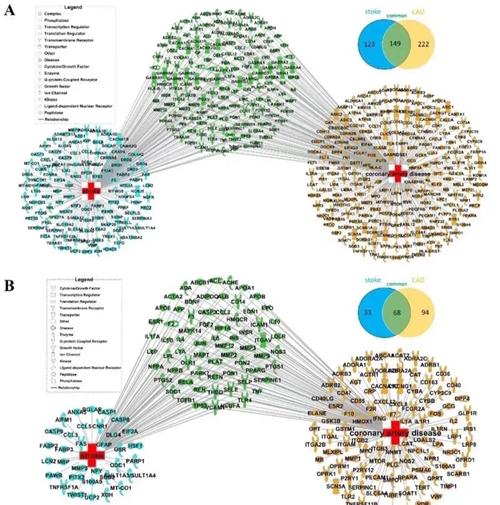 量子计算生物医药：分子动力学模拟的加速路径