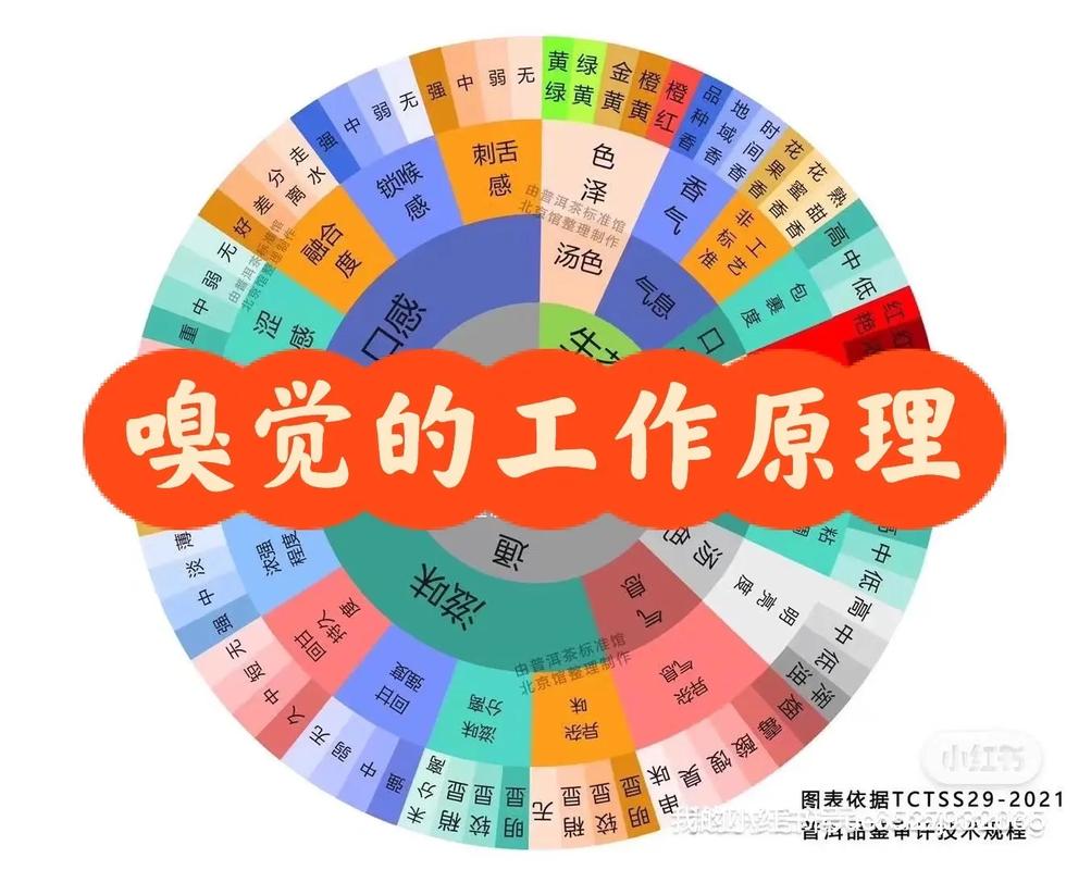 揭秘数字嗅觉技术：让机器 “闻” 出世界