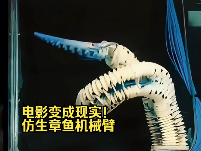 仿生章鱼机器人：肌肉纤维驱动的形态变形控制