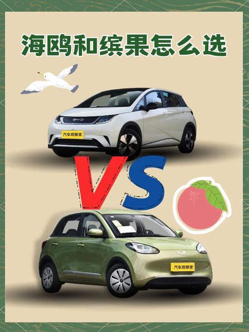 10 万级代步车怎么选？五菱缤果 VS 比亚迪海鸥，实测对比见真章